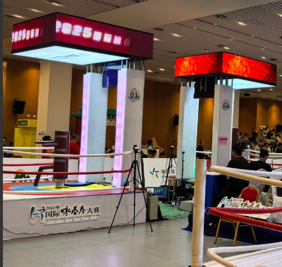 智能功夫桩