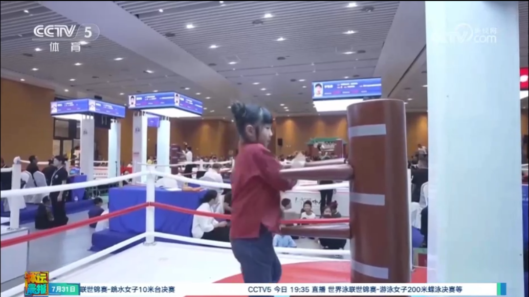 智能功夫桩